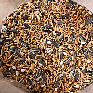 Regular Budgie Seed Mix
