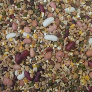 Soft Food for Birds