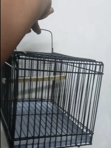 Premium Bird Cage