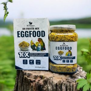 Rs Nestica  Fruits mix egg food - 500gm