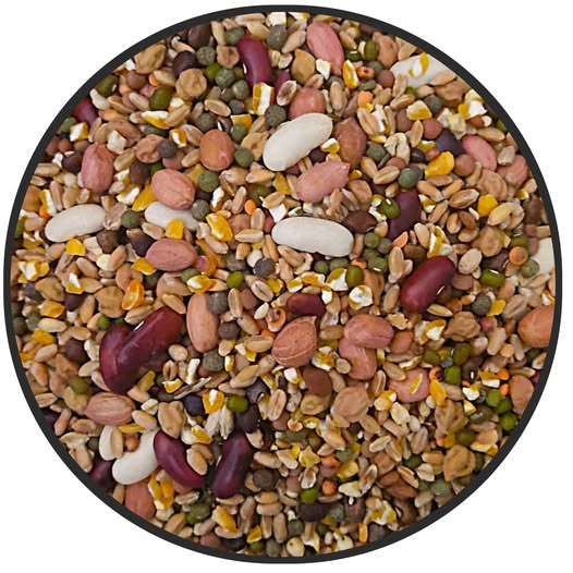 DANADAR SOFT FOOD